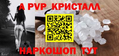 гидра Будённовск
